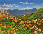 California Poppies