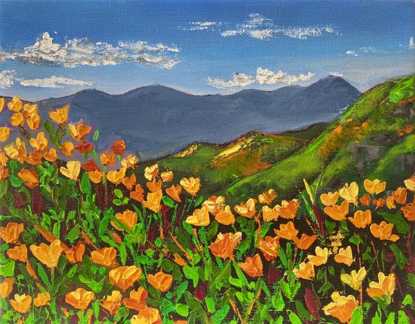 California Poppies