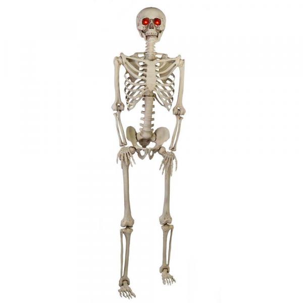 Poseable Skeleton picture
