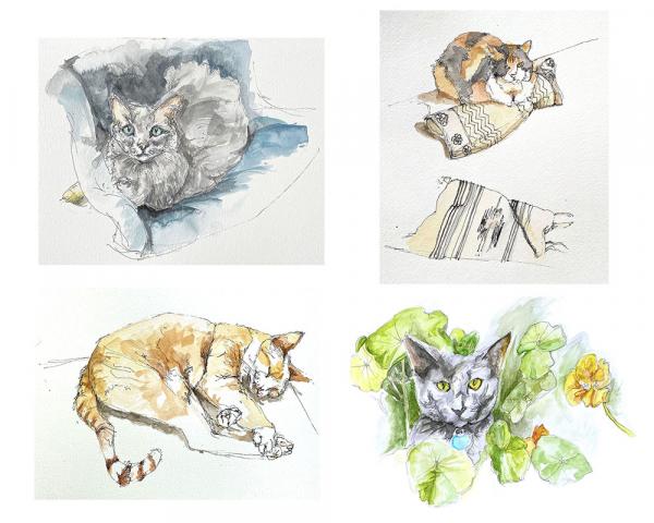 Water Color Sketches (Greeting cards) picture