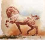 HORSE STUDY