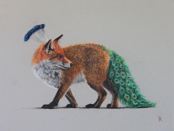 PEACOCK-TAILED FOX