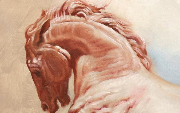 HORSE STUDY picture