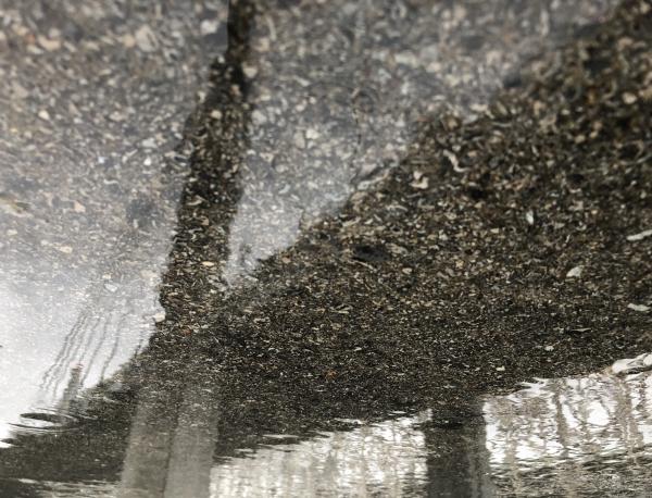 Asphalt & Concrete picture