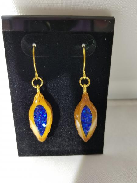 Apricot pit earrings - blue picture