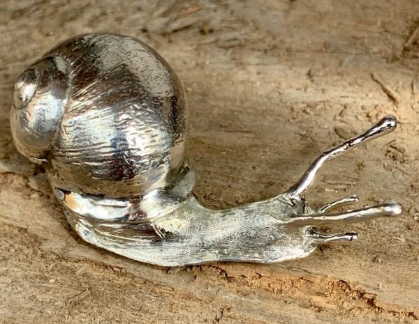 Snail Pin or Table Ornament Sterling Silver Life Size picture