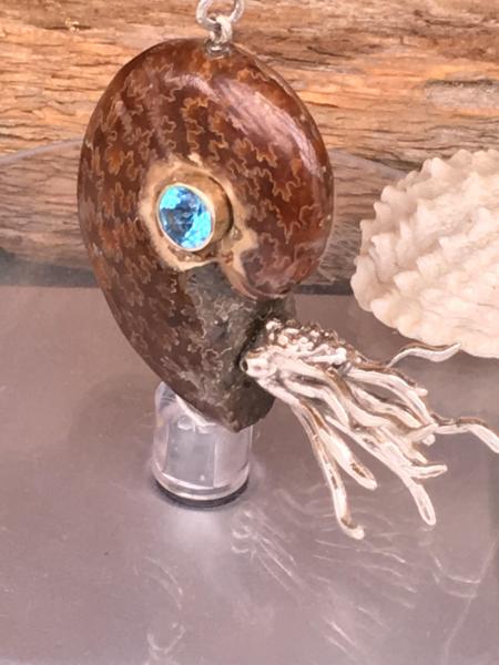 Nautilus pendant