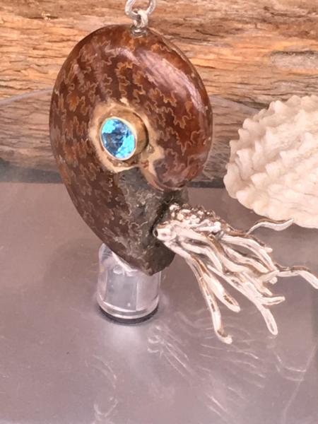 Nautilus pendant picture