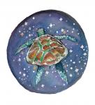 Turtle Galaxy