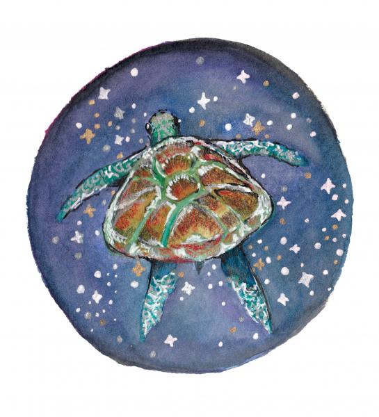 Turtle Galaxy picture