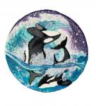 Orca Yin Yang