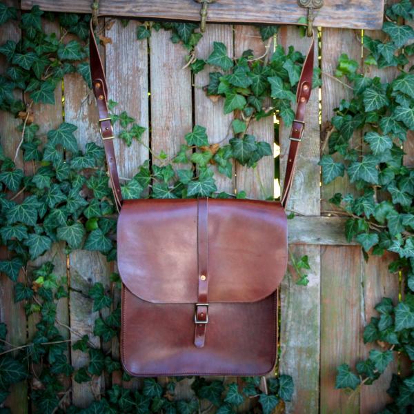 Daveiss Satchel - Thoroughbred picture