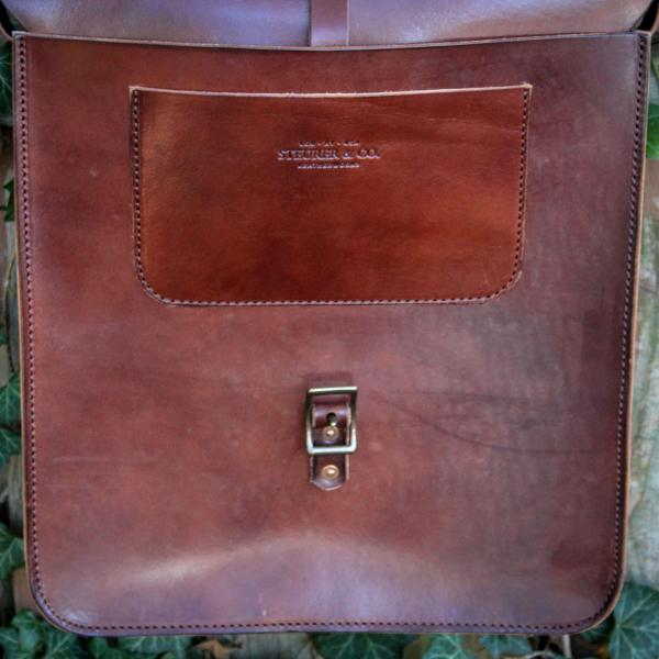 Daveiss Satchel - Thoroughbred picture