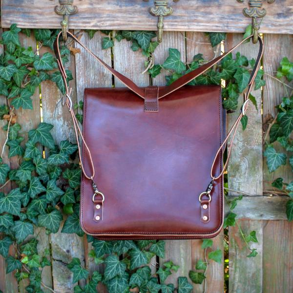 Daveiss Satchel - Thoroughbred picture