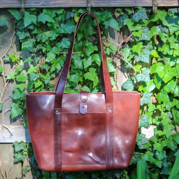 Marshall Tote - Thoroughbred picture