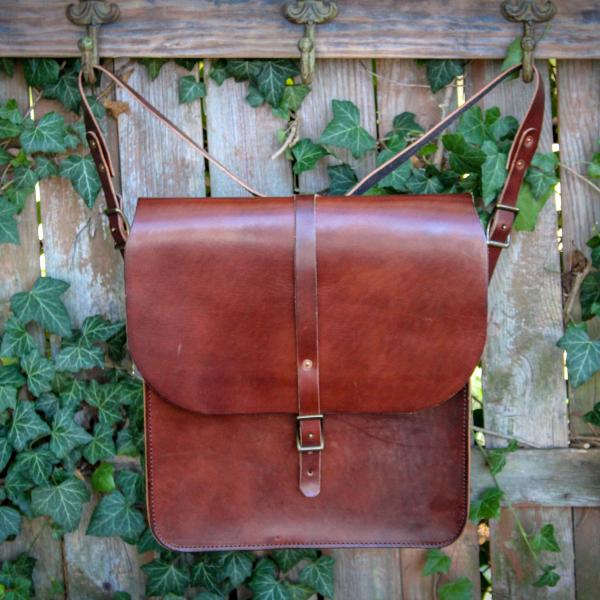 Daveiss Satchel - Thoroughbred picture