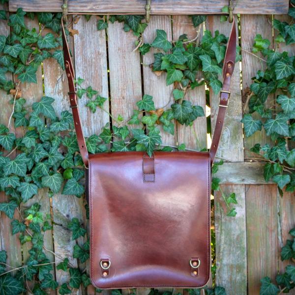 Daveiss Satchel - Thoroughbred picture