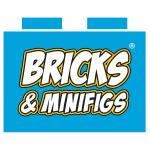 Bricks & Minifigs
