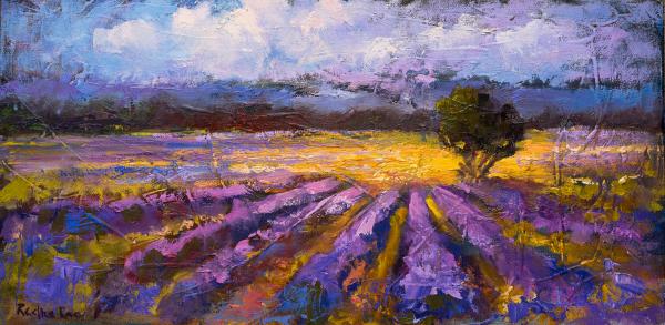 Lavender Fields and Lavender Hills picture