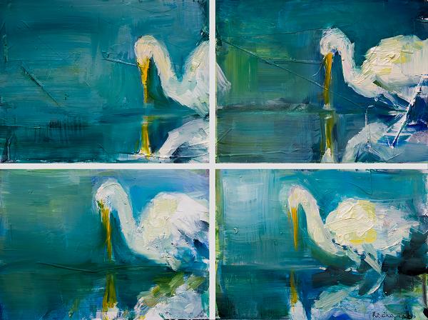 Self Reflection of White Egret
