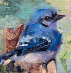 Blue Jay