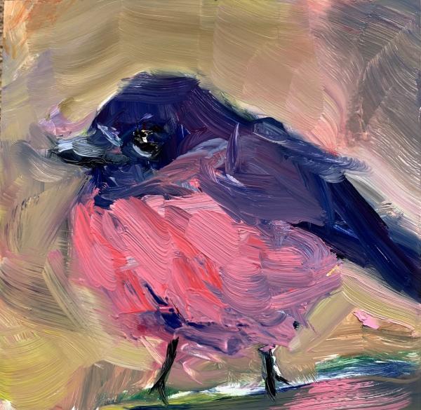 Pink Robin picture