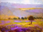 Lavender fields and Hills at Sunset