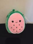 5” Squishmallows Wanda the Watermelon