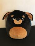 8” Squishmallows Mateo the Rottweiler