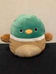 8” Squishmallows Avery the Duck