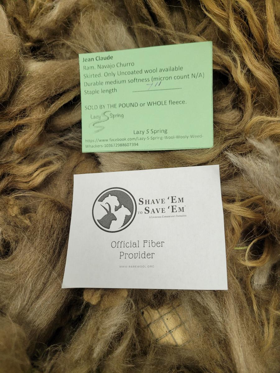 Raw wool fleece- Navajo Churro picture