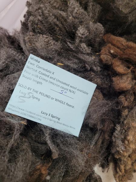 Raw fleece - Corriedale picture