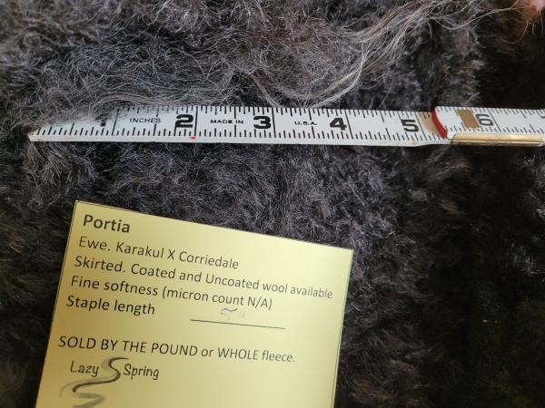 Raw Fleece- Karakul X picture