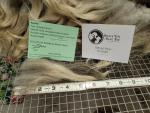 Raw wool fleece- Navajo Churro