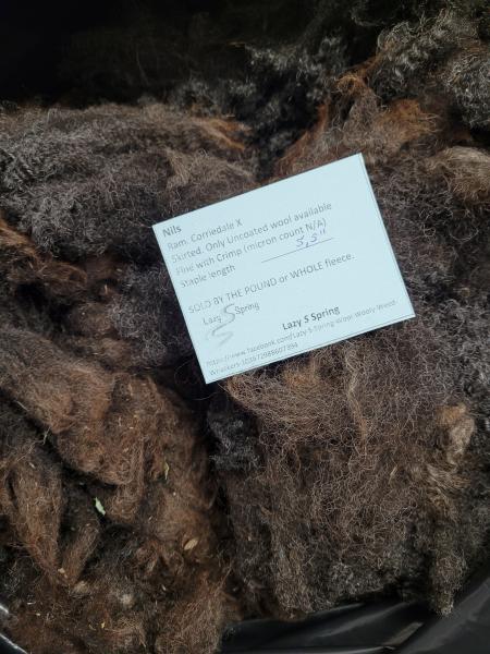 Raw fleece - Corriedale picture