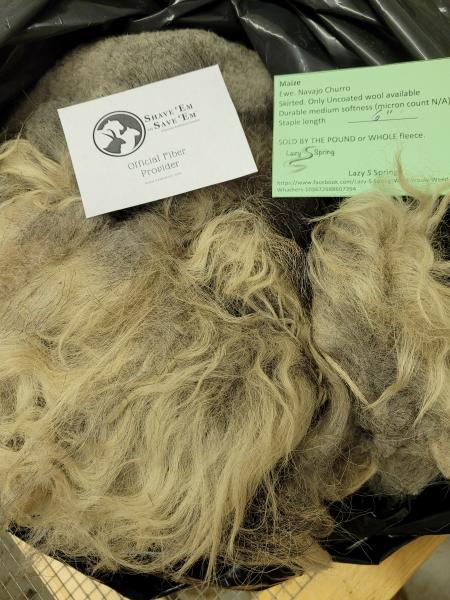 Raw wool fleece- Navajo Churro picture