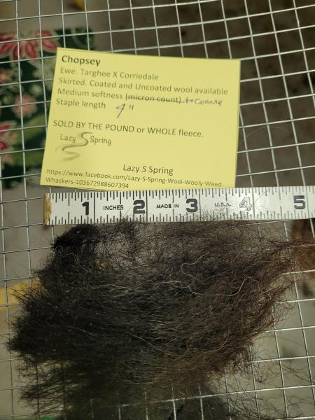 Raw Fleece- Karakul X picture