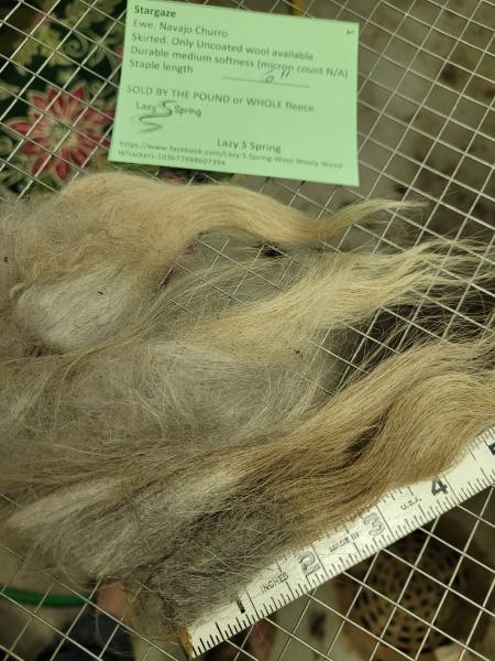 Raw wool fleece- Navajo Churro picture