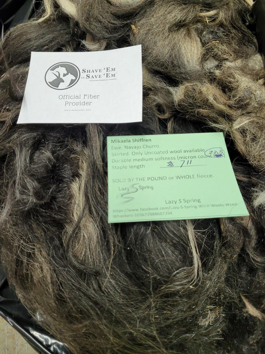 Raw wool fleece- Navajo Churro picture