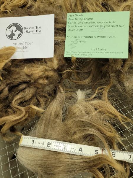 Raw wool fleece- Navajo Churro picture