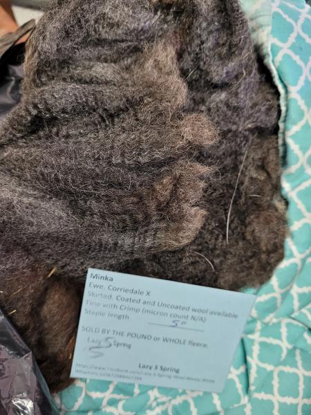 Raw fleece - Corriedale picture