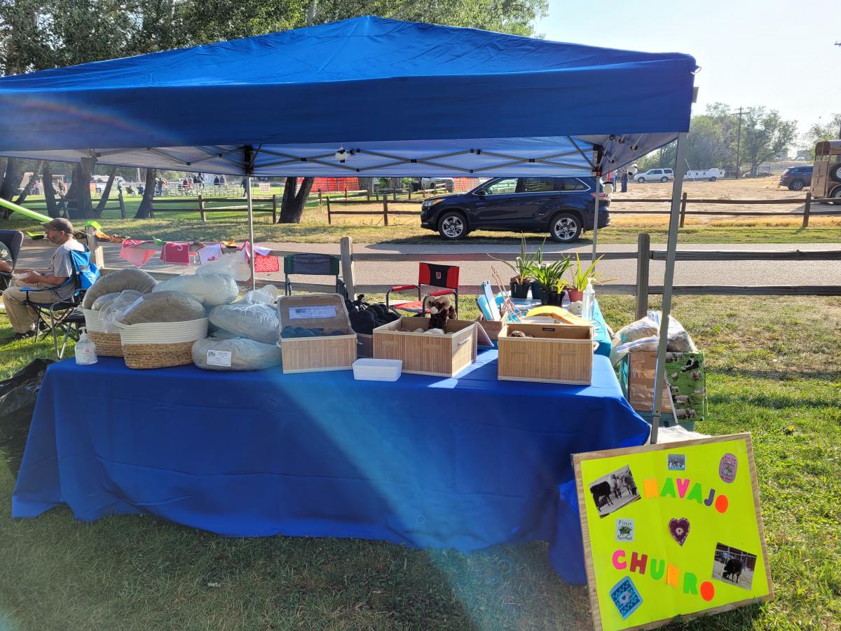 wool processed into roving or batts picture