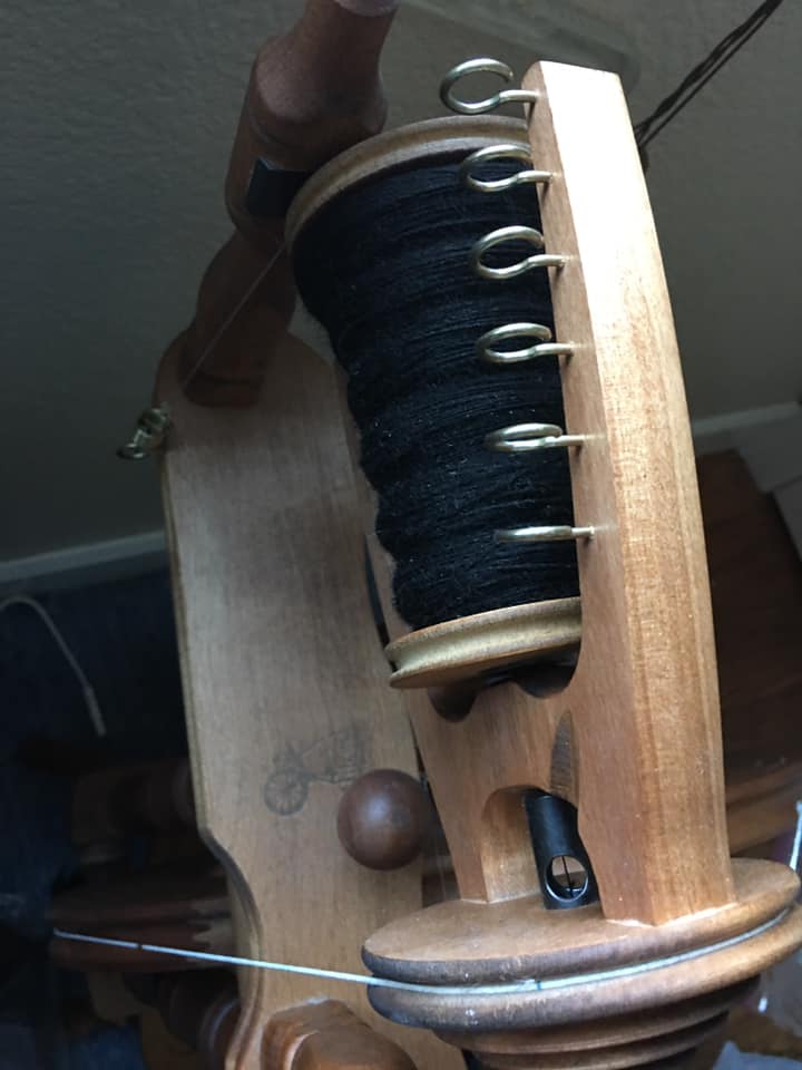 Raw Fleece- Karakul X picture