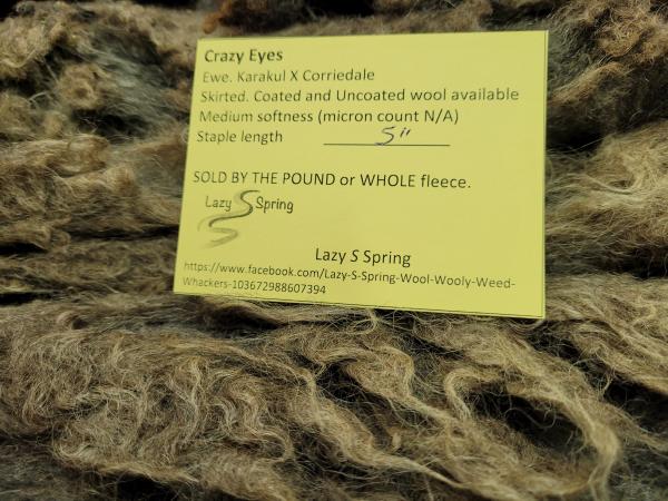 Raw Fleece- Karakul X picture