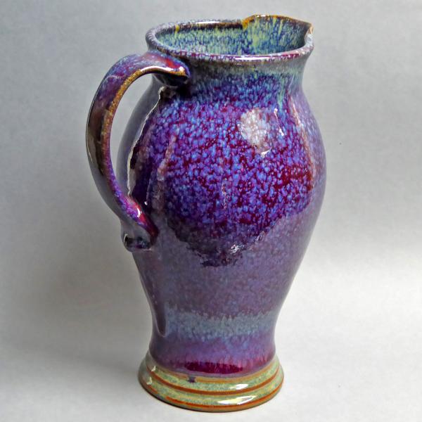 Purple Pitcher