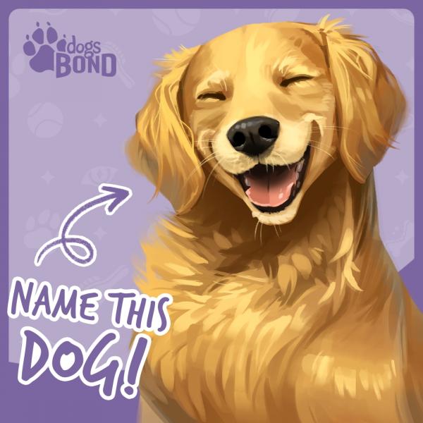 Dogs BOND - The Board Game picture