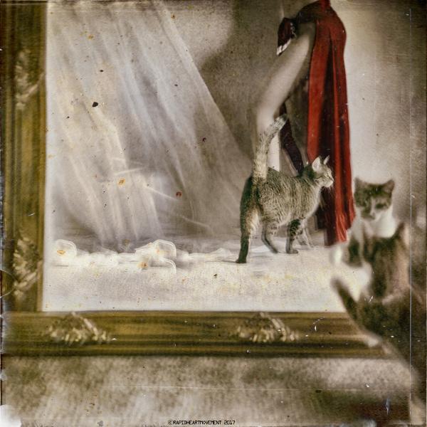 "Self-portrait With Cats", Archival Pigment Print, Limited Editions picture