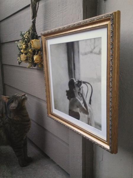 "In The Cat's Soft Fur" II, Archival Pigment Print, Limited Editions picture