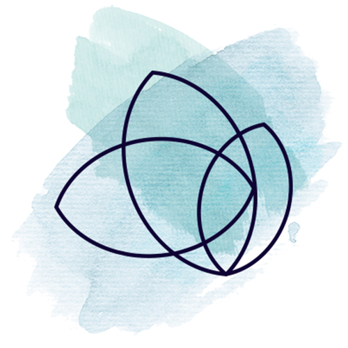  User Profile
