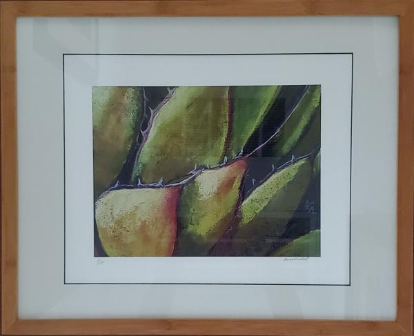 Frame your 9 x 12 Print